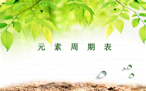 人教版九年級(jí)上冊(cè)化學(xué)3.3《元素》課件（江蘇部級(jí)優(yōu)課）.pptx