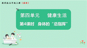 2021新版教科版版五年級上冊科學4.4身體的“總指揮“-課件（教學ppt).pptx