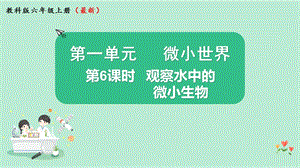 2021新版教科版版六年級(jí)上冊(cè)科學(xué)1.6觀察水中的微小生物-課件（教學(xué)）.pptx