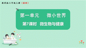 2021新版教科版版六年級上冊科學1.7微生物與健康-課件（教學）.pptx