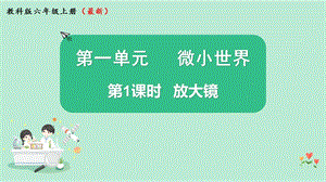 2021新版教科版版六年級上冊科學1.1放大鏡-課件（教學）.pptx