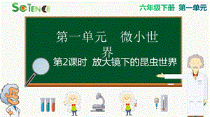 教科版六年級(jí)下冊(cè)科學(xué)1.2 放大鏡下的昆蟲世界 課件.pptx