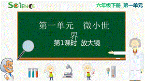 教科版六年級(jí)下冊(cè)科學(xué)1.1 放大鏡 課件.pptx