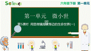 教科版六年級(jí)下冊(cè)科學(xué)1.5 用顯微鏡觀察身邊的生命世界（一） 課件.pptx
