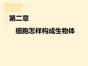 人教版七年級上冊生物2.2《動物體的結(jié)構(gòu)層次》教學(xué)課件（28張PPT）.pptx