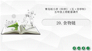青島版（54制）五年級上冊科學20.《食物鏈》教學課件.pptx