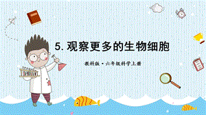 教科版六年級上冊科學第1單元第5課觀察更多的生物細胞課件（ppt教學）.pptx