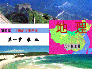 湘教版八年級上冊地理第4章第一節 農業-課件.ppt