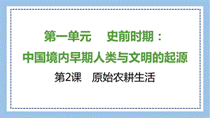 部編版七上歷史知識總結(jié)課件第2課　原始農(nóng)耕生活.pptx