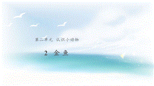 大象版一年級上冊科學2.2【教學課件】《金魚》.pptx