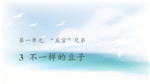 大象版一年級上冊科學1.3【教學課件】《不一樣的豆子》.pptx