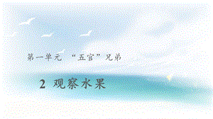 大象版一年級上冊科學1.2【教學課件】《觀察水果》.pptx