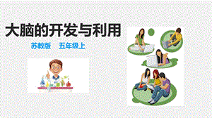 2021新蘇教版五年級上冊科學20大腦的開發與利用 課件.ppt