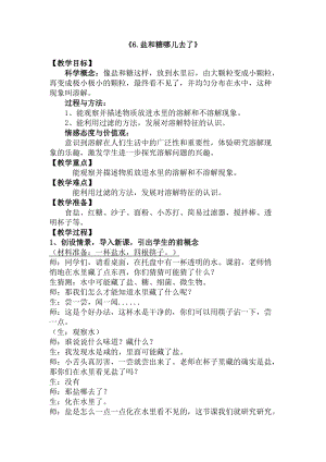 蘇教版一年級下冊科學6鹽和糖哪兒去了教案（王老師公開課作品）.docx