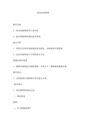 北師大版七下生物22.3《植物的主要類群》教案（朱老師公開課作品）.docx