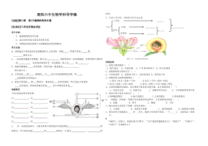 蘇教版八下生物21.2植物的有性生殖教案（周老師公開課作品）.docx
