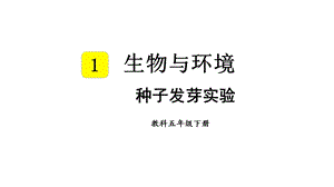 教科版五年級(jí)下冊(cè)科學(xué)1.1種子發(fā)芽實(shí)驗(yàn)教學(xué)課件.pptx