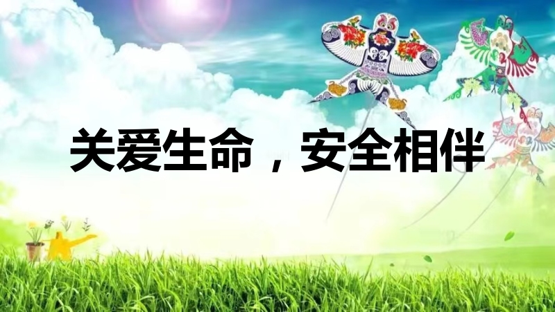 小學生安全教育關愛生命安全相伴課件+教案+習題+反思.rar