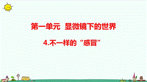 大象版六年級(jí)上冊(cè)科學(xué)1.4不一樣的“感冒”（含練習(xí)）課件.pptx