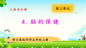 大象版五年級上冊科學2.4腦的保健 教學課件.pptx