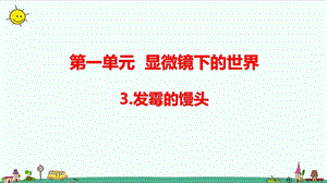 大象版六年級上冊科學1.3發霉的饅頭（含練習）課件.pptx