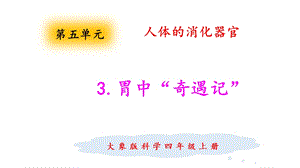 大象版四年級上冊科學5.3胃中“奇遇記” 課件.pptx