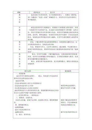 人美版一下美術10.我和昆蟲-教案（明老師公開課教學設計）.docx