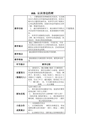人美版二下美術第3課 認識身邊的樹-教案（施老師公開課教學設計）.doc