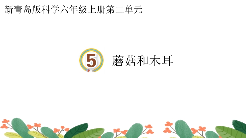 新青島版六年級上冊科學第5課蘑菇和木耳課件+視頻素材.rar
