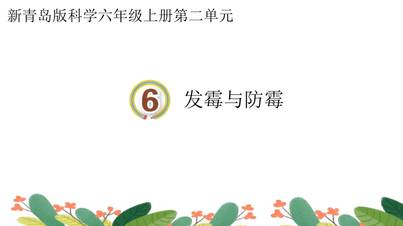 新青島版六年級上冊科學(xué)第6課發(fā)霉與防霉課件+視頻素材.rar