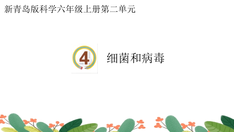 新青島版六年級上冊科學第4課細菌和病毒課件+視頻素材.rar