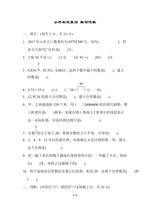 青島版數(shù)學六年級（下）小升初總復習數(shù)與代數(shù).docx