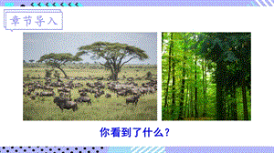 北師大版八年級下冊生物23.1《生物的生存依賴一定的環境》課件.pptx