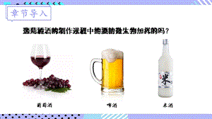 北師大版八年級下冊生物25.1《發(fā)酵技術》課件.pptx