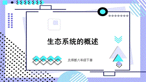 北師大版八年級下冊生物23.3《生態系統的概述》課件.pptx
