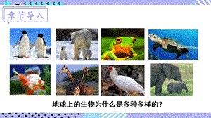 北師大版八年級下冊生物21.2.1生物進化的證據和歷程課件.pptx