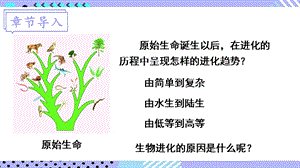 北師大版八年級下冊生物21.2.2《生物進化的原因》課件.pptx