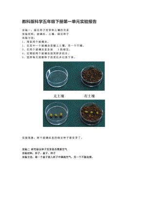 新版教科版五年級下冊科學第一單元生物與環(huán)境實驗報告.doc