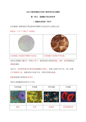 2022年新蘇教版五年級下冊科學第一單元《顯微鏡下的生命世界》知識點整理.docx