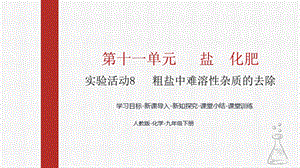 人教版九下化學第十一章實驗活動8粗鹽中難溶性雜質的去除課件.pptx