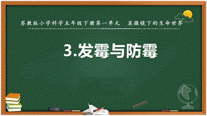 2022新蘇教版五年級下冊科學3.發霉與防霉-課件（教學）.pptx