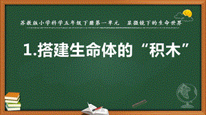 2022新蘇教版五年級下冊科學1.搭建生命體的“積木”-課件（教學）.pptx