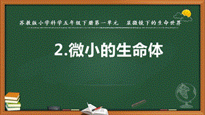 2022新蘇教版五年級(jí)下冊(cè)科學(xué)2.微小的生命體-課件（教學(xué)）.pptx