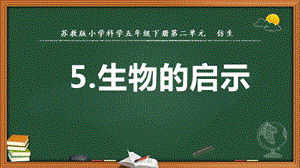 2022新蘇教版五年級下冊科學5.生物的啟示-課件（教學）.pptx