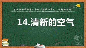 2022新蘇教版六年級下冊科學14.清新的空氣-課件（教學）.pptx