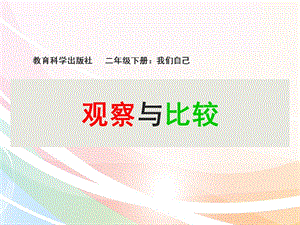教科版二年級下冊科學(xué)2.3觀察與比較 課件（錢老師獲獎作品）.pptx