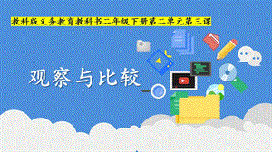 教科版二年級下冊科學2.3觀察與比較 課件（周老師獲獎作品）.pptx