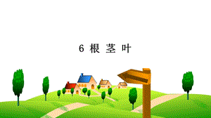 人教鄂教版三年級下冊科學6根莖葉課件.ppt