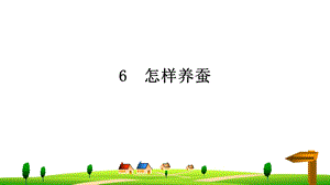 人教鄂教版四年級下冊科學6怎樣養蠶 課件.ppt
