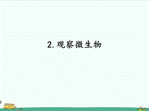 2022湘科版五年級下冊科學(xué)2.2觀察微生物課件.pptx